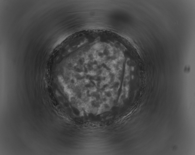 X0000095530871200801041243