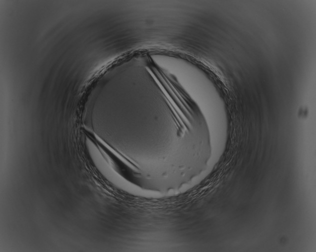 X0000095530872200801041243