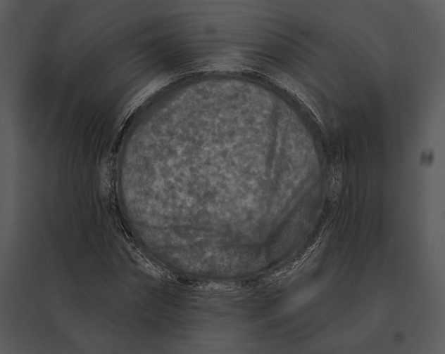 X0000095530874200801041243