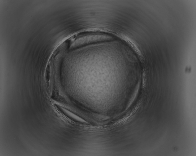 X0000095530876200801041243