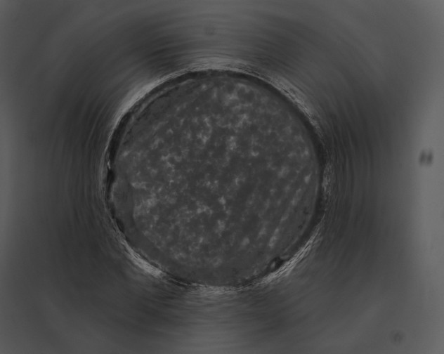 X0000095530877200801041243