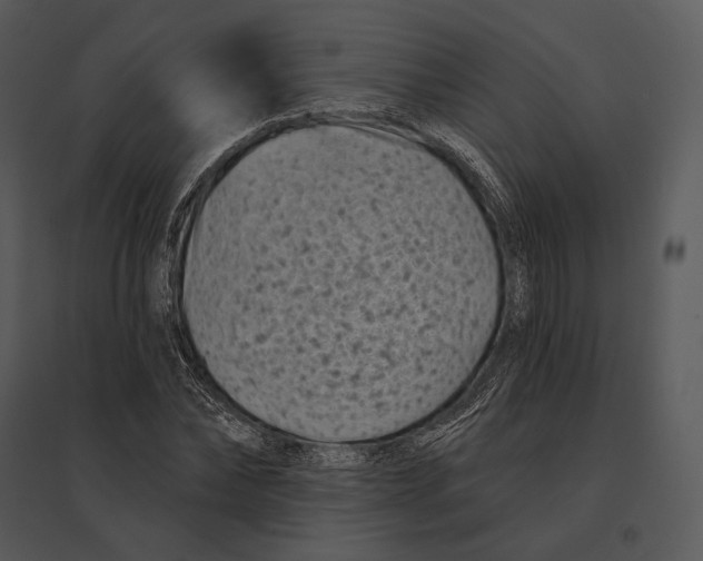 X0000095530878200801041243