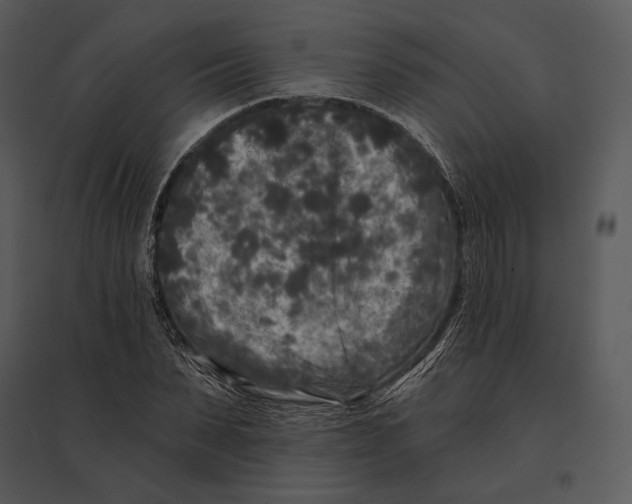 X0000095530879200801041243