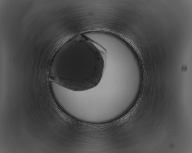 X0000095530881200801041243