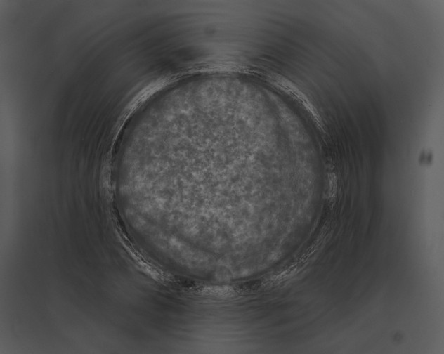 X0000095530882200801041243