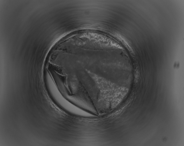 X0000095530884200801041243