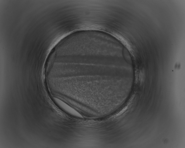 X0000095530885200801041243