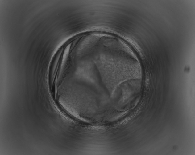 X0000095530888200801041243