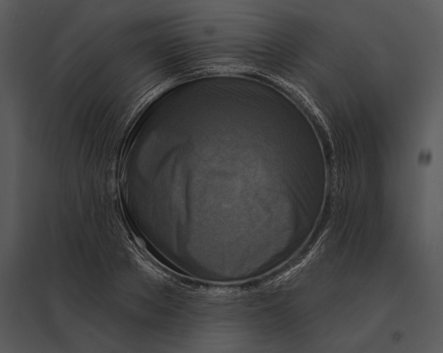 X0000095530889200801041243