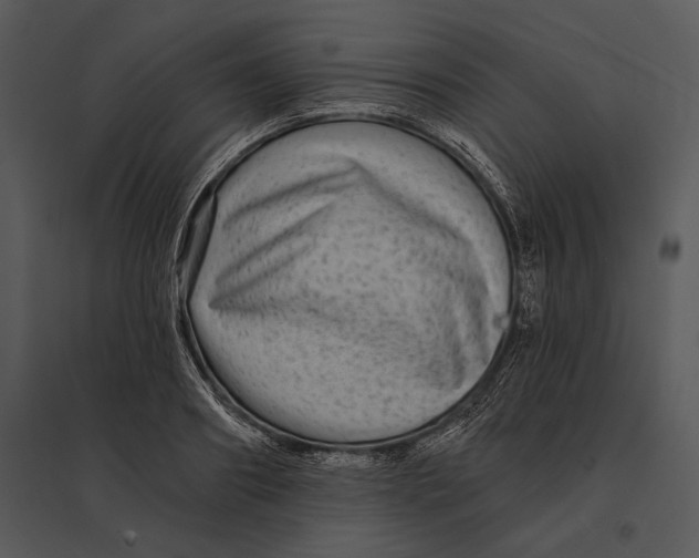 X0000095530890200801041243