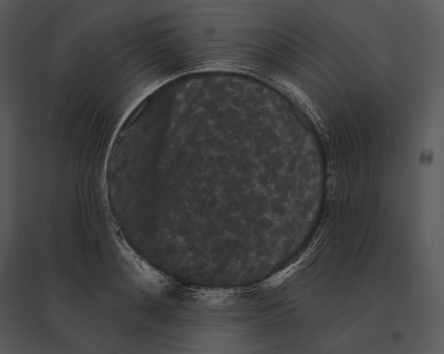 X0000095530892200801041243