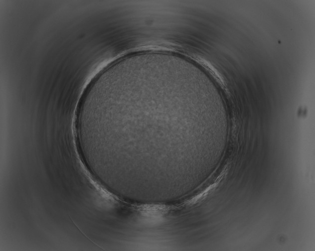 X0000095530893200801041243