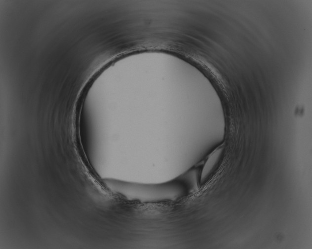 X0000095530894200801041243