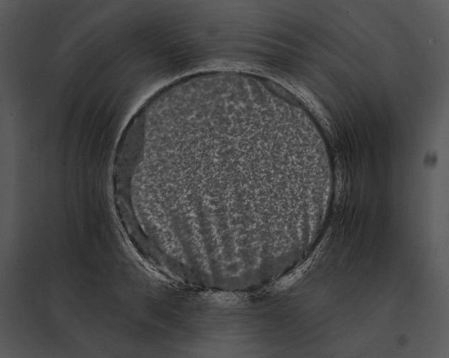 X0000095530896200801041243