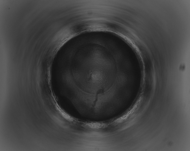 X0000095530897200801041243