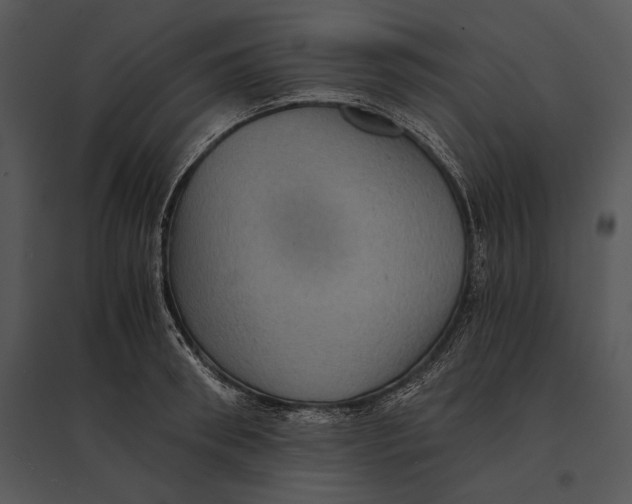 X0000095530898200801041243