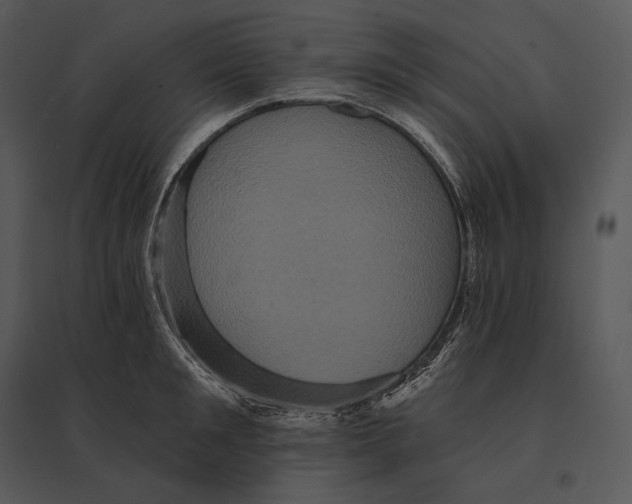 X0000095530901200801041243