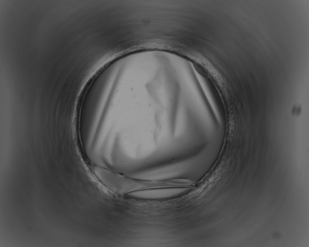 X0000095530902200801041243