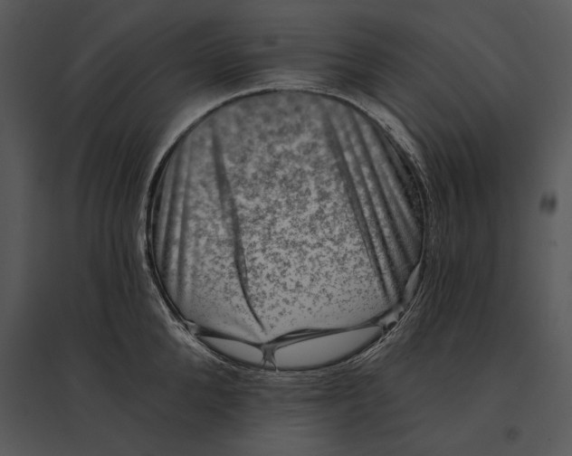 X0000095530904200801041243