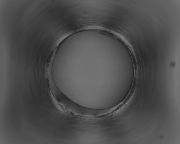 X0000095530905200801041243