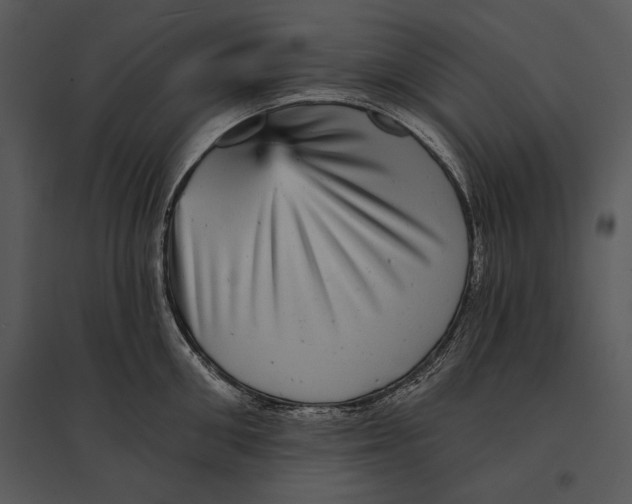 X0000095530906200801041243