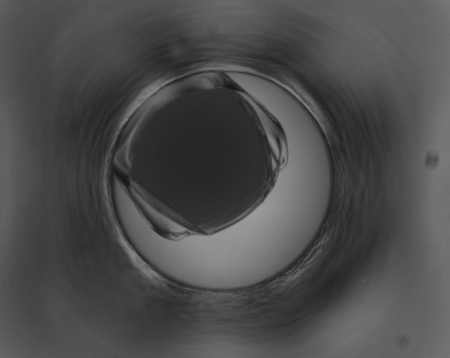 X0000095530909200801041243