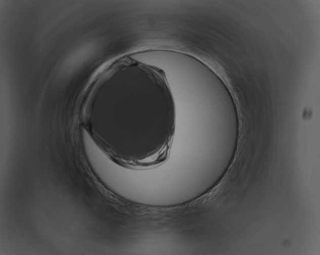 X0000095530912200801041243