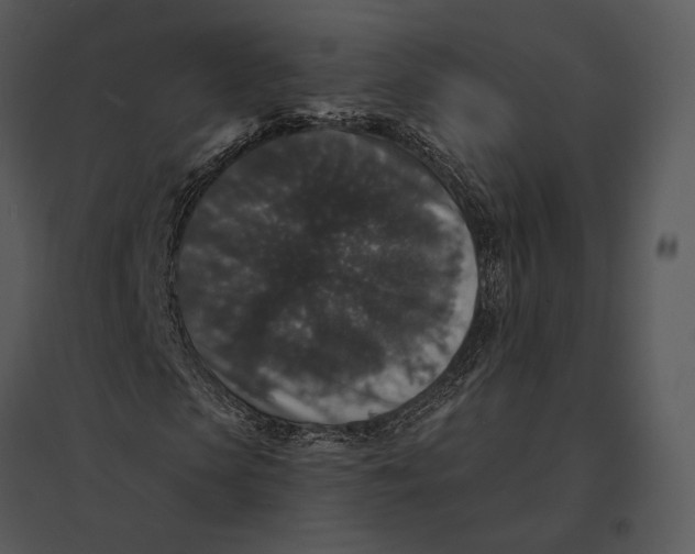 X0000095530913200801041242