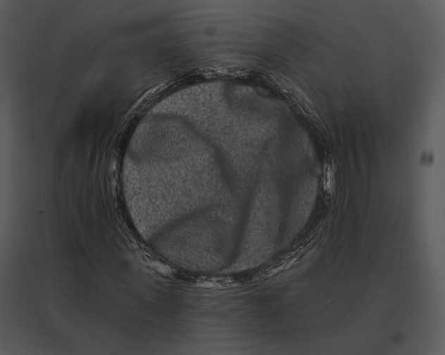 X0000095530915200801041242