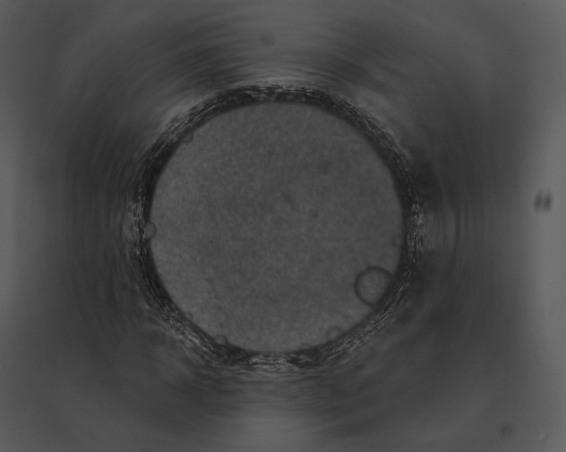 X0000095530918200801041242