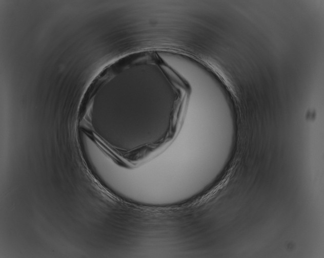 X0000095530924200801041242