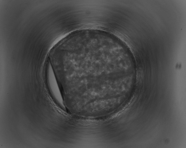 X0000095530925200801041242