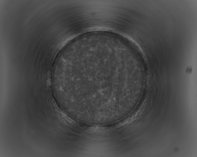 X0000095530929200801041242