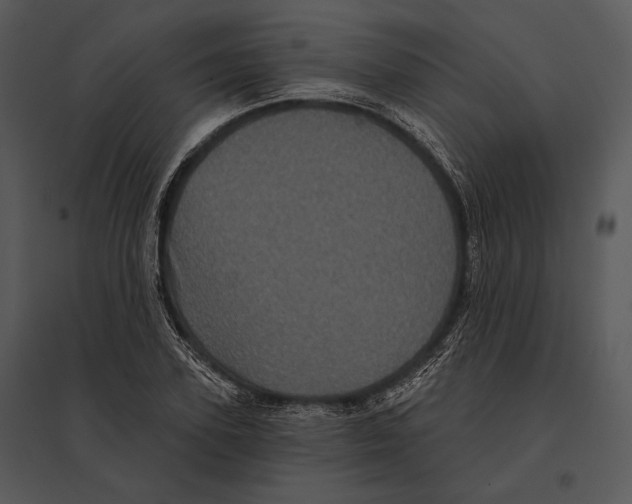 X0000095530931200801041242