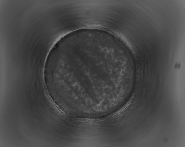 X0000095530932200801041242