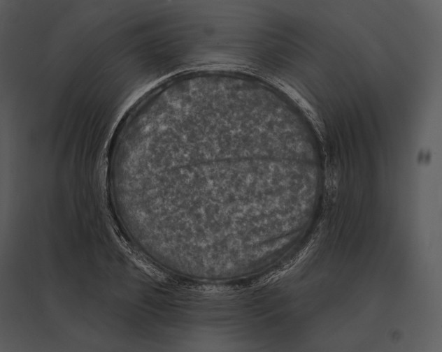 X0000095530933200801041242