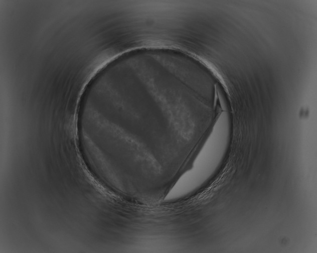 X0000095530935200801041242