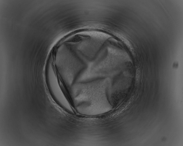 X0000095530936200801041242