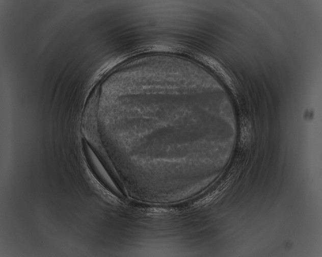 X0000095530938200801041243