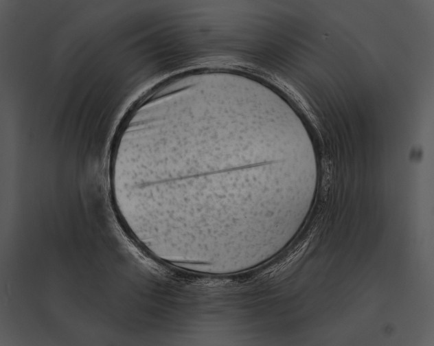 X0000095530939200801041243