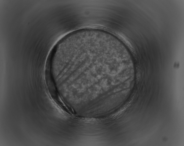 X0000095530940200801041243