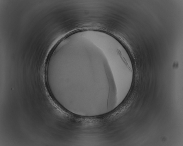 X0000095530941200801041243