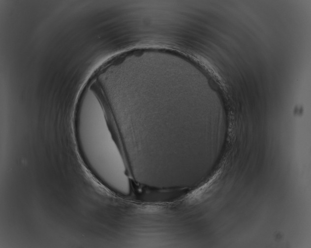 X0000095530942200801041243