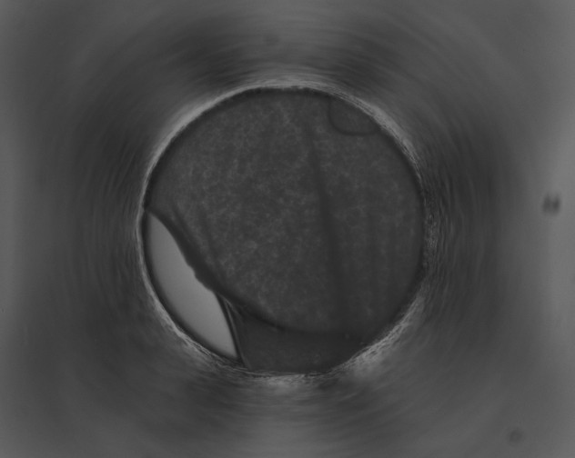 X0000095530943200801041243