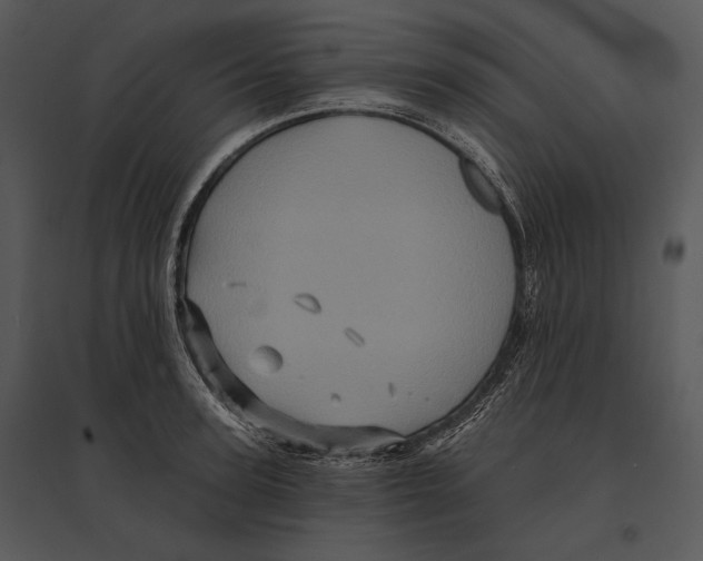 X0000095530947200801041243