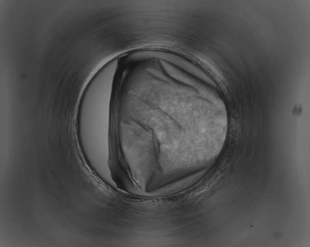 X0000095530948200801041243