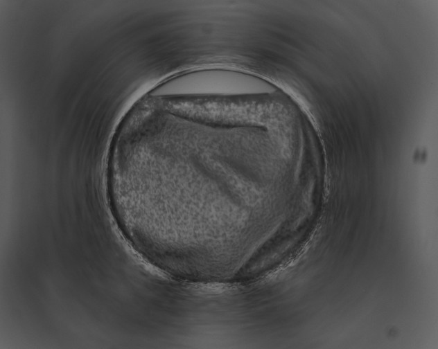 X0000095530949200801041243