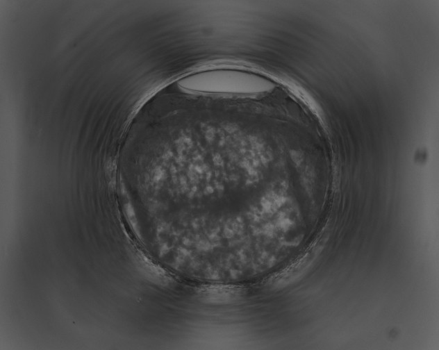 X0000095530953200801041243