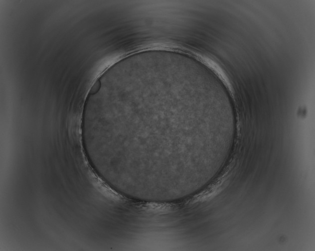 X0000095530954200801041243