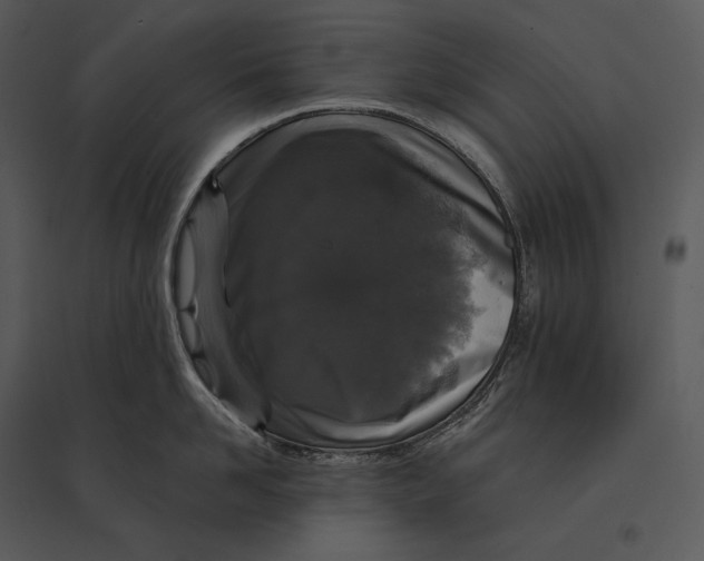 X0000095530958200801041243